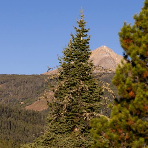 086b4d93-407f-43d6-9cc0-d6d481f6d84b