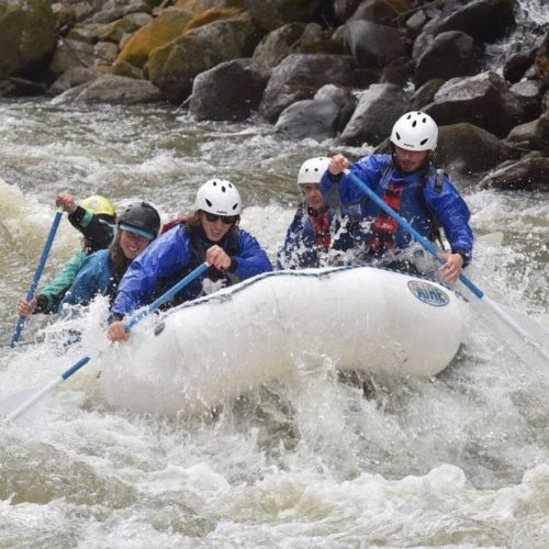 2f1d88a4-98a7-463a-958a-574c3d6268bb